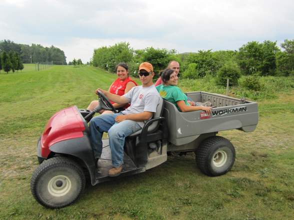 Crew mulching